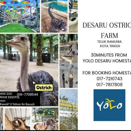 Desaru Homestay-Eva Villa Pool Homestay By Yolo Resort Bandar Penawar Exterior photo